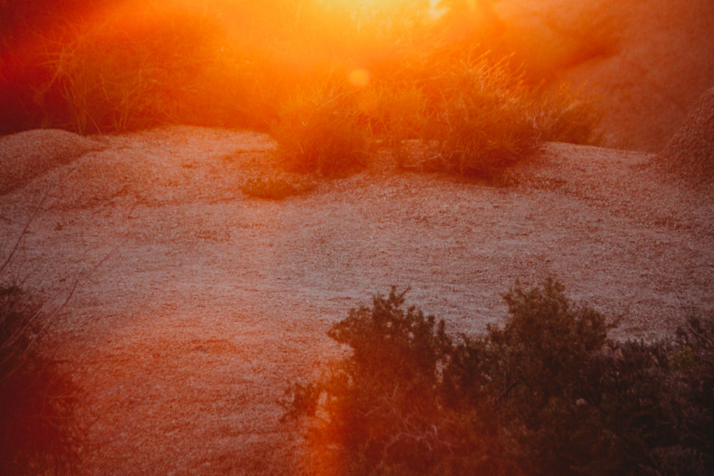 in yucca valley Third Point Press